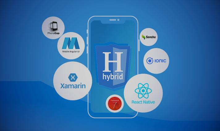Hybrid App Development​