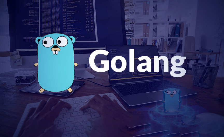 GoLang Expertise​