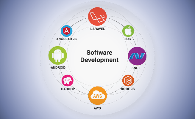software development management